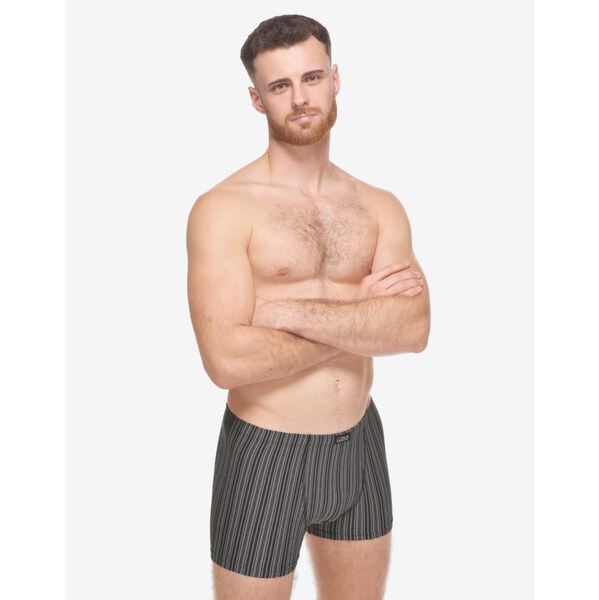 Pánske boxerky Gino viacfarebné (73138-MxCDxG) 66228285