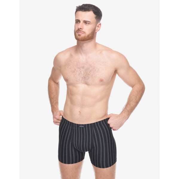 Pánske boxerky Gino viacfarebné (74178-MxCDMZ) 66228287