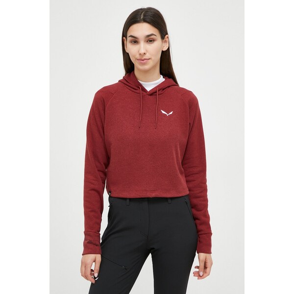 Športová mikina Salewa Lavaredo Hemp 64303356