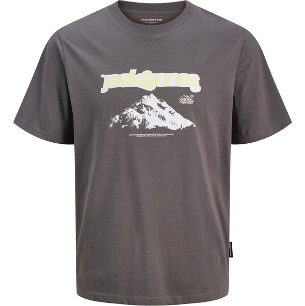 JACK & JONES Tričko JCOFLARE svetložltá / tmavosivá / biela 66257850