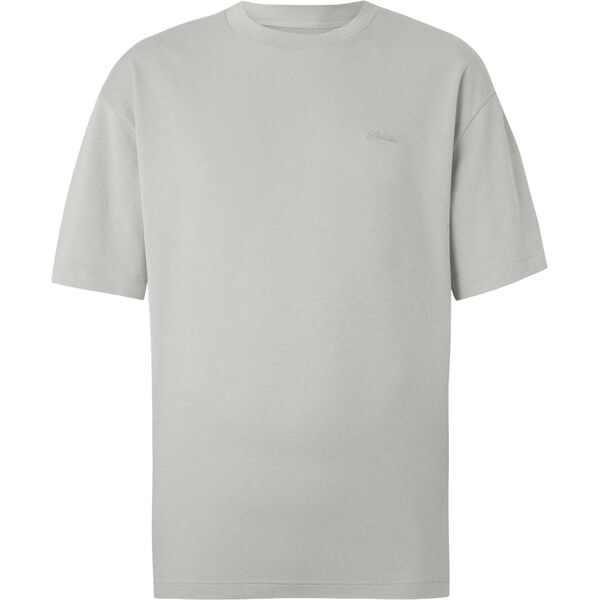 HOLLISTER Tričko svetlosivá 66258360