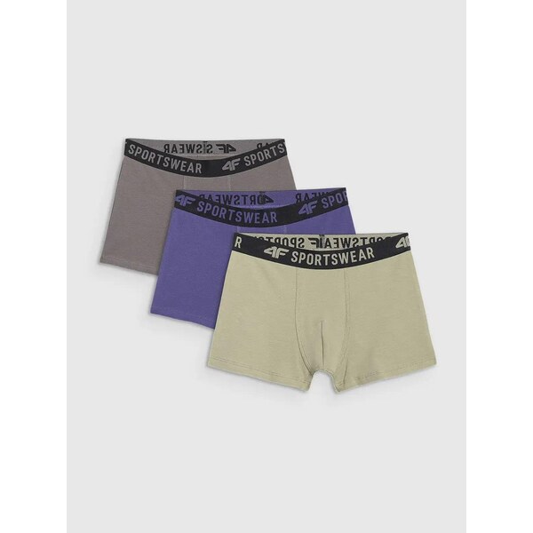 Boys boxers 4F (3pack) 66259941