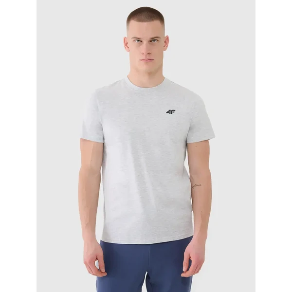 Mens T-shirt 4F 66259974