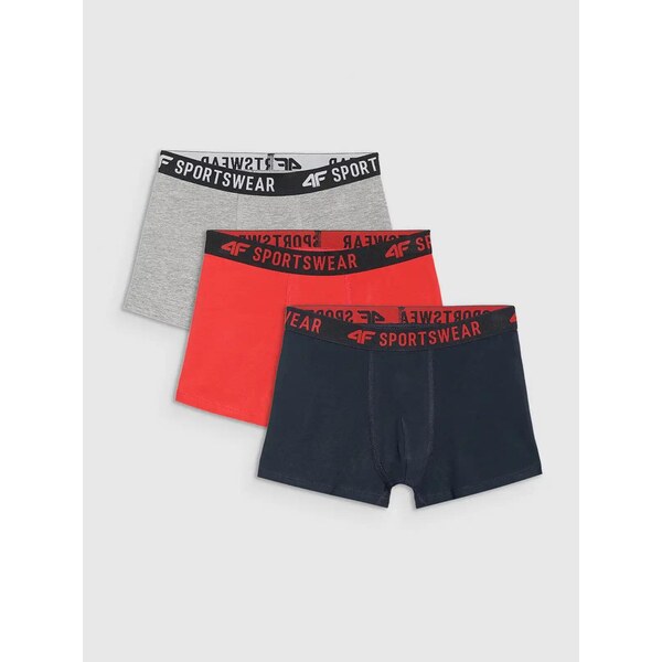 Boys boxers 4F (3pack) 66260015