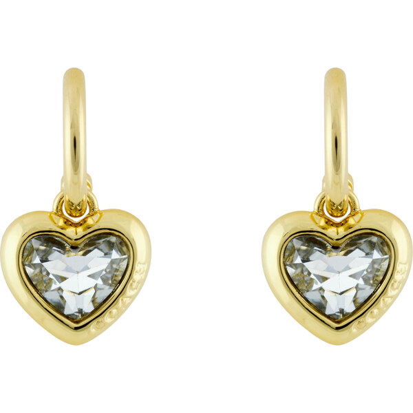 Náušnice Coach 64742360