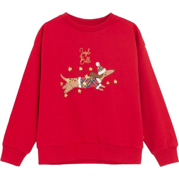 Cool Club Mikina tmavobéžová / zelená / červená / prírodná biela 66308382