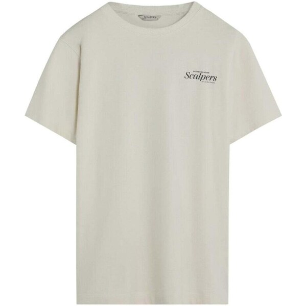 Scalpers Tričko zmiešané farby / šedobiela 66330613