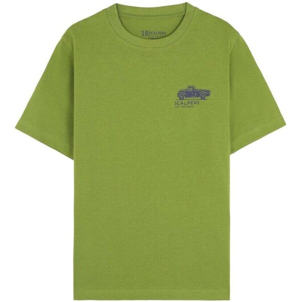 Scalpers Tričko Motel sivá / zelená 66330618