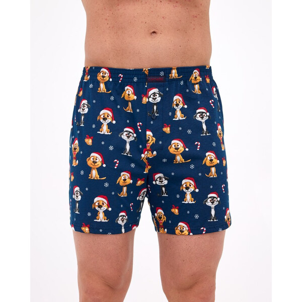 Pánske trenky Cornette Comfort viacfarebné (016/20) 66409571