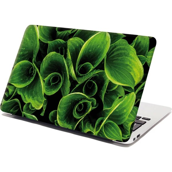 Sablio Samolepka na notebook Zelené listy 65101923