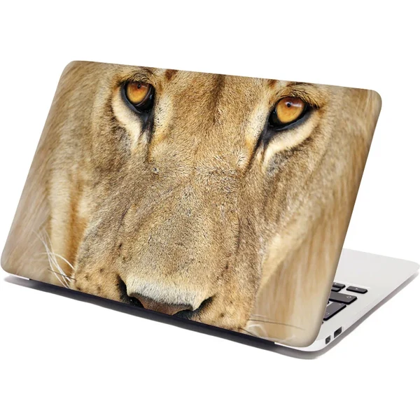 Sablio Samolepka na notebook Pohľad levice 65098755