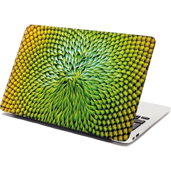 Sablio Samolepka na notebook Detailný kvet 65098713