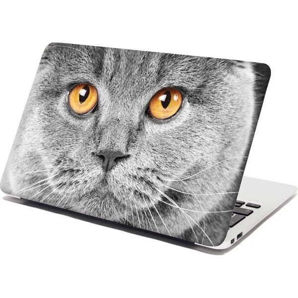 Sablio Samolepka na notebook Mačací pohľad 65098604