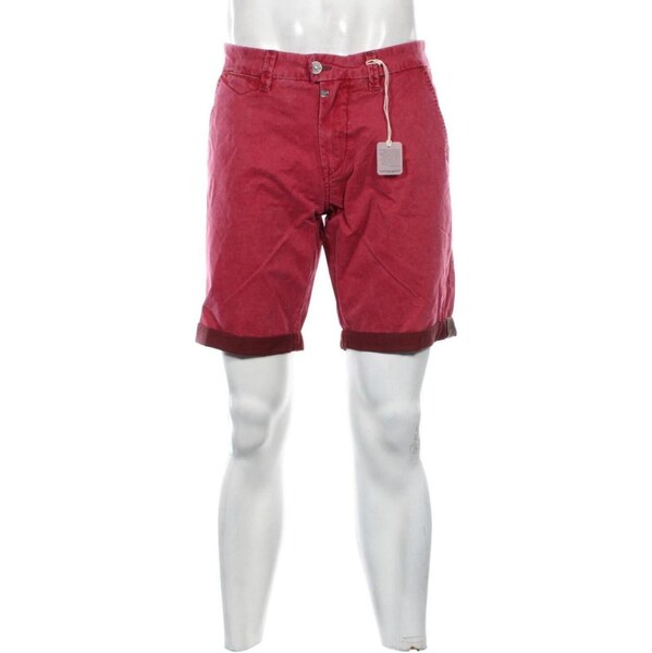 Pánske kraťasy Timezone 66504561