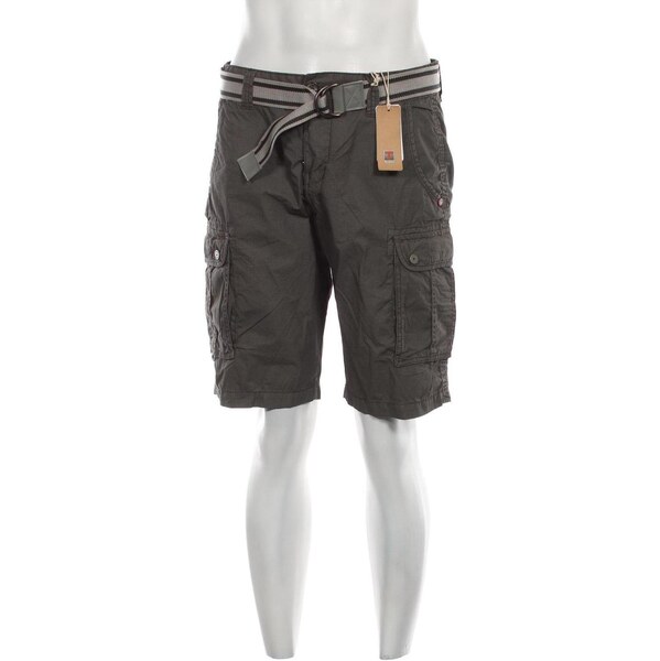 Pánske kraťasy Timezone 66504586