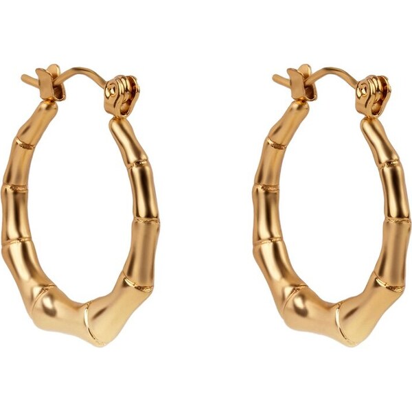 Emily Westwood Pozlátené kruhové náušnice Grace Cascade EWE250198G 66596300