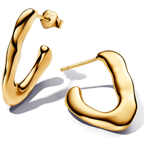 Pandora Štýlové pozlátené náušnice Essence Shine 263290C00 66595923