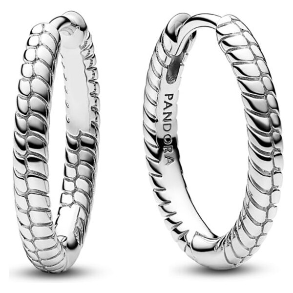 PANDORA Malé kruhové strieborné náušnice na prívesky Pandora Moments 58185899