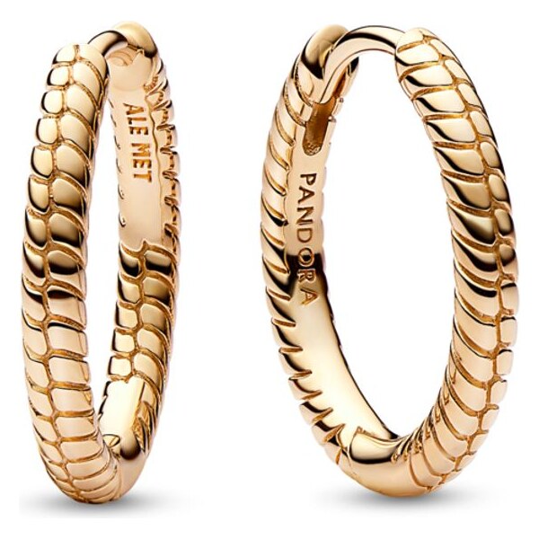 PANDORA Malé kruhové náušnice na prívesky Pandora Moments 58185871