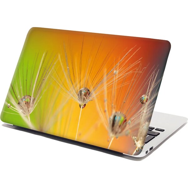 Sablio Samolepka na notebook Odkvitnuté púpavy 2 65101931