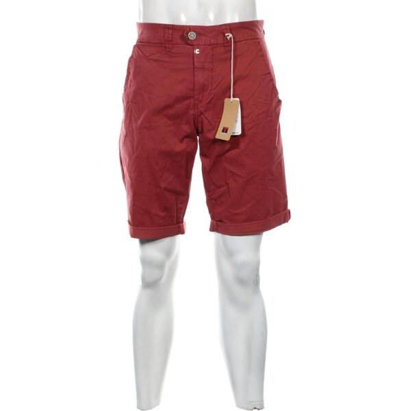 Pánske kraťasy Timezone 66603199