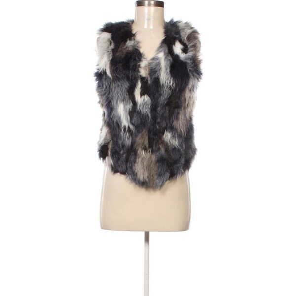 Dámska vesta David Moore 66619824