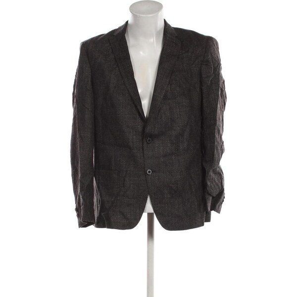 Pánske sako Roy Robson 66702116