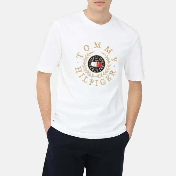 Pánské triko Tommy Hilfiger M56561 66724603