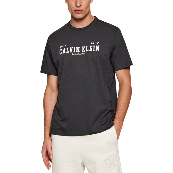 Calvin Klein Jeans T-Shirt Uomo 66813781