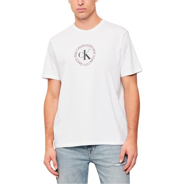 Calvin Klein Jeans T-Shirt Uomo 66813784