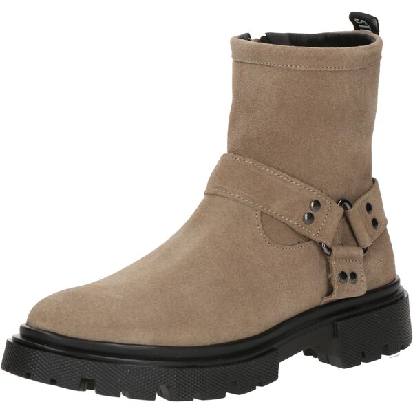 STEVE MADDEN Nízke čižmy Radios tmavobéžová 66835065