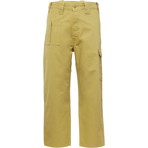 Levis Skateboarding Kapsáče Skate New Utility Pant zelená 66846499