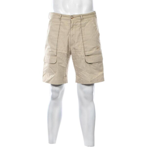 Pánske kraťasy Salewa 66850192