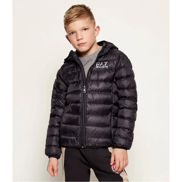 EA7 Páperová bunda | Regular Fit 63362171