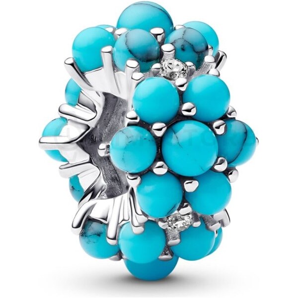 Pandora Moments 793897C02 793897C02 66933317