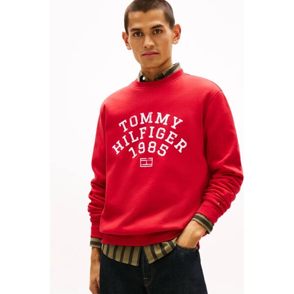 Tommy Hilfiger Mikina | regular fit 66614063