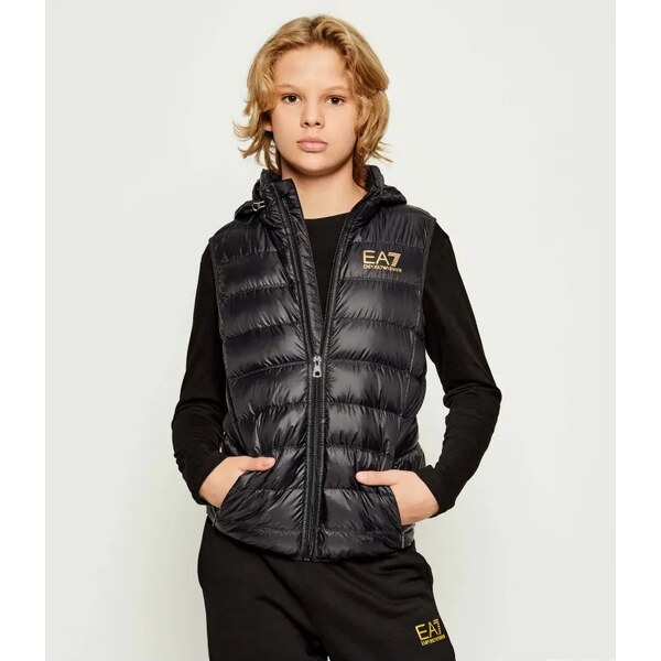 EA7 Páperový vesta | regular fit 64740365