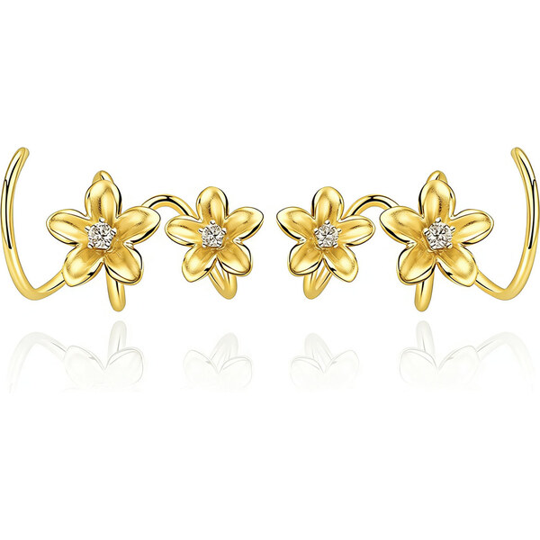 Dámske strieborné náušnice BOGUSIA 66887772