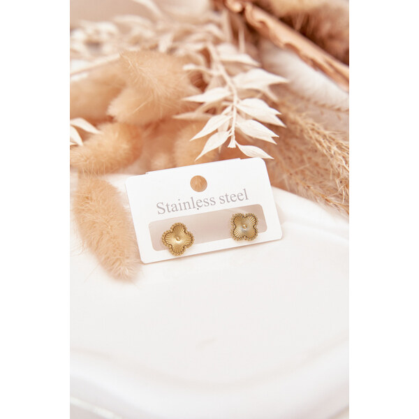 Boto Náušnice ze nerezové oceli zlaté 66892341