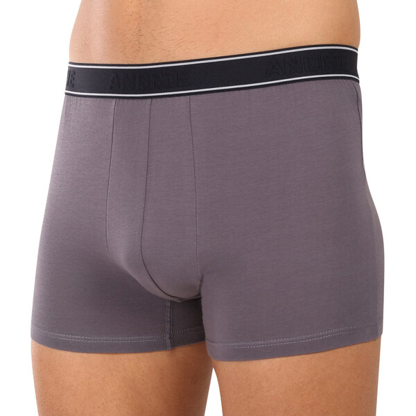 Pánske boxerky Andrie viacfarebné (PS 5828/light gray) 3 66888056