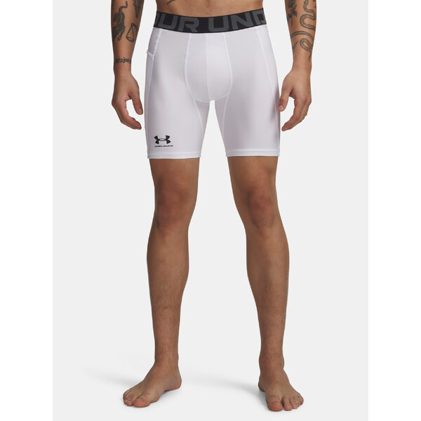 Pánske kraťasy Under Armour 25492363