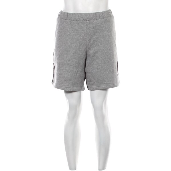 Pánske kraťasy PUMA 67006645