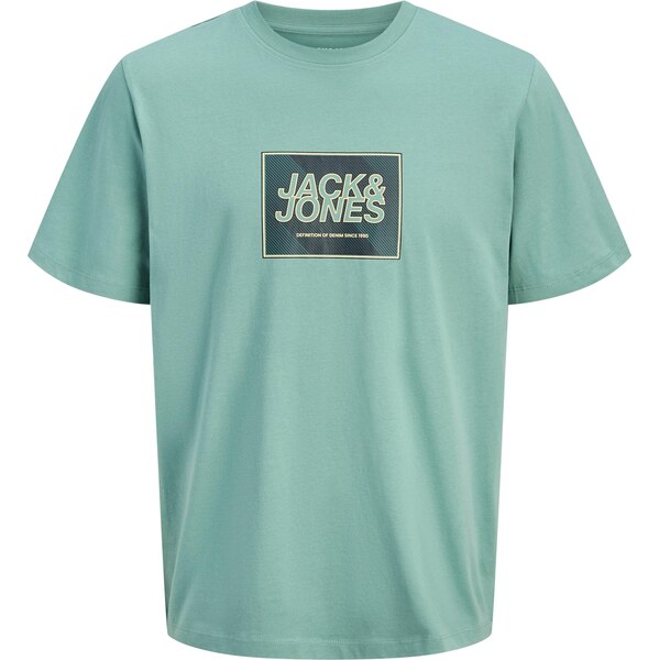 JACK & JONES Tričko JJRAIN trstinová / jedľová / biela 67007586