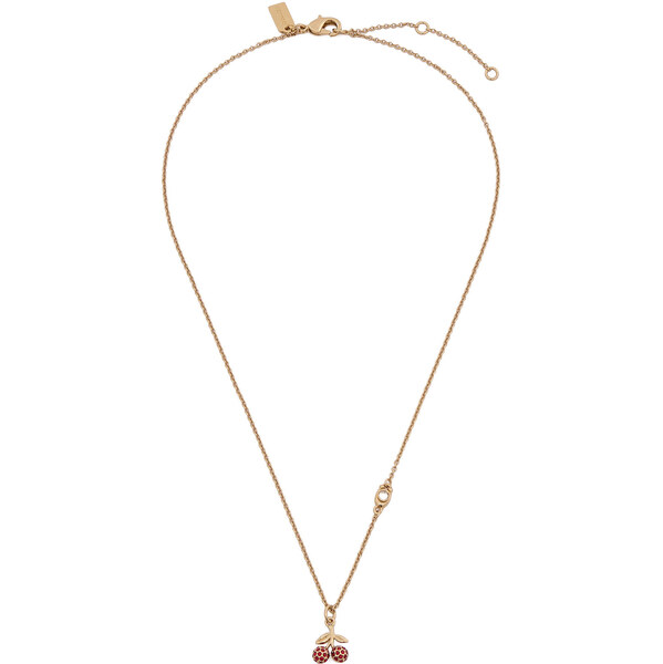 Náhrdelník Coach 67026948