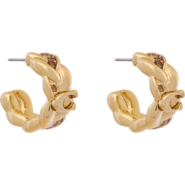 Náušnice Coach 67026820