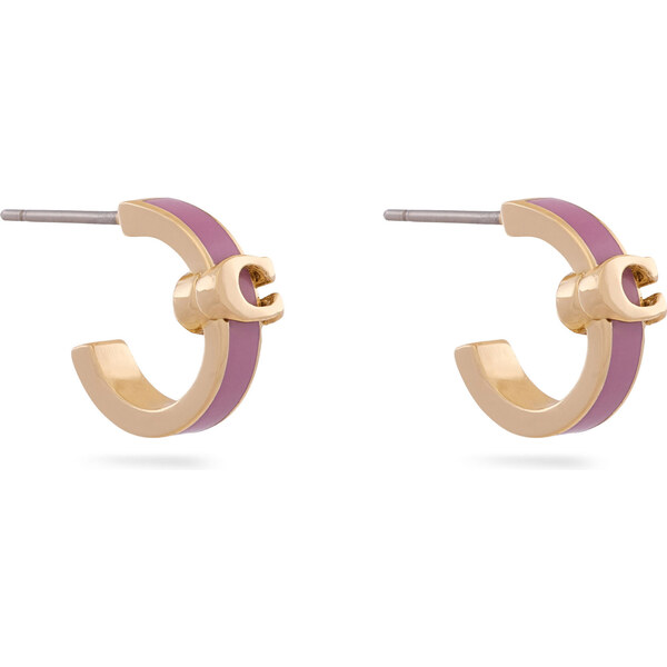 Náušnice Coach 67026930