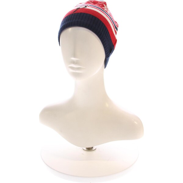 Čiapka Bjorn Daehlie 67045183