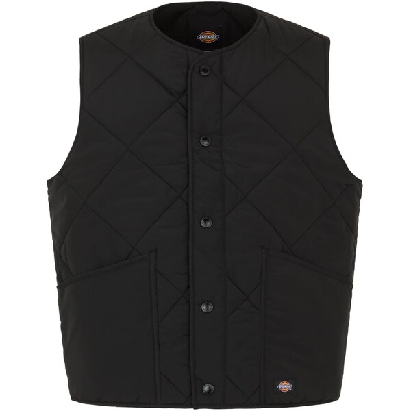 DICKIES Vesta Samburg čierna 67103944