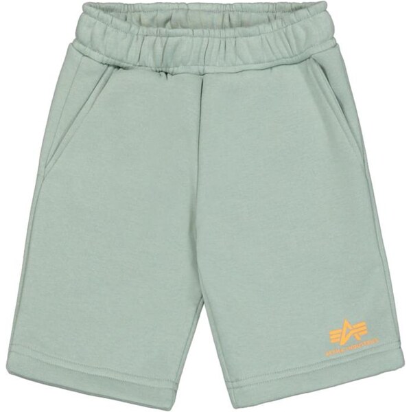 ALPHA INDUSTRIES Nohavice pastelovo zelená / oranžová 67152012