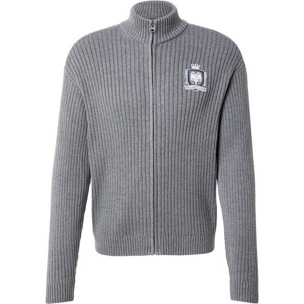 HOLLISTER Kardigán modrá / sivá / biela 67179616